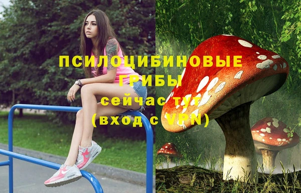 дмт Нефтегорск