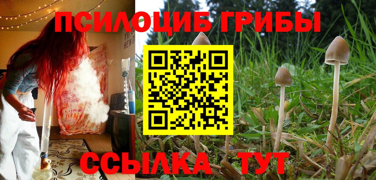 Южно-Сахалинск  Псилоцибиновые грибы мухоморы  Псилоцибиновые грибы Psilocybe  Вход с VPN 